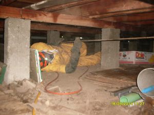 Christchuch Pest Control - Borer Treatment